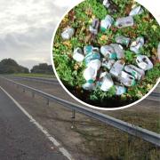 A litter pick will take place on the A47 at Swaffham in May
