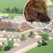 The new school at Swaffham would be hedgehog friendly