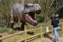 Roarr Dinosaur Adventure was among the many attractions to enjoy a sunny and busy first weekend back after lockdown