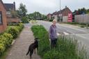 Breckland councillor Linda Monument on Greenfields Road in Dereham, walked through the estate, pointing out verges which she believes need to be cut