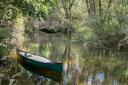 A Norwich nature reserve is launching canoeing