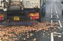A lorry has spilled its load of onions closing the A47
