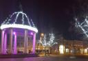 A Christmas market, ice skating and live animal nativity is set to entertain families at Swaffham's annual light switch-on this year.