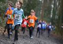 Cross country races at Gresham's School for the Norfolk Winter School Games in 2017. Picture: ANTONY KELLY.