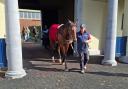 Constitution River at Ballydoyle on Monday (Gary Carson/PA)