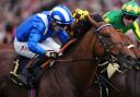 Almeraq won at Royal Ascot (John Walton/PA)