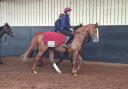 Benvenuto Cellini is heading for France this weekend (Gary Carson/PA)