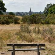 Norfolk and Eats Anglia has endured the driest July since records began 200 years ago, the Met Office has confirmed