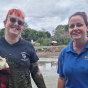 Anne Ruthworth and Claire Hughes after rescuing a seagull from the pond at PACT Animal Sanctuary in Hingham.