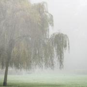 The Met Office's yellow weather warning for fog is predicted to affect west Norfolk this morning.