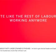 A screengrab of the Mid Norfolk Labour Party website, which is currently instructing people not to vote Labour