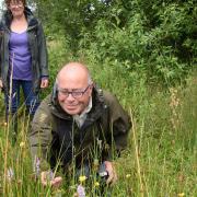 George Williams, front, taking a close look at some common spotted orchids, during one of the Norfolk Wildlife Trust walks around Beeston Common.