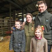 Kirsty and Lee Oakes with their children George and Phoebe, and their Southdown lambs at Oakes Pedigrees in Shipdham