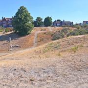 A drought has been declared in Norfolk. Pictured is Mousehold Heath in Norwich looking very dry in the August heat
