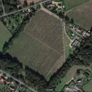 The homes would go up on this field between Narford Road and Swaffham Road.