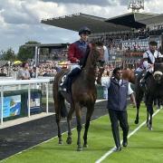 Galyx after winning at Beverley (Chris Phillips/PA)