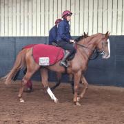 Benvenuto Cellini is heading for France this weekend (Gary Carson/PA)